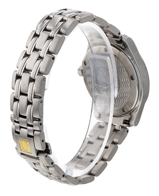 Omega Seamaster 120m 2501.81.00 Image 3